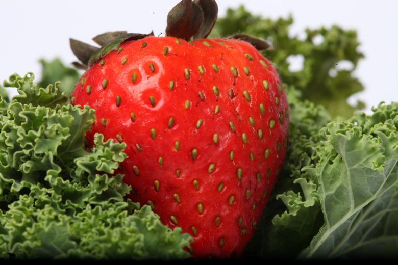 Free stock image of Red Strawberry on kale created by Jared Davidson
