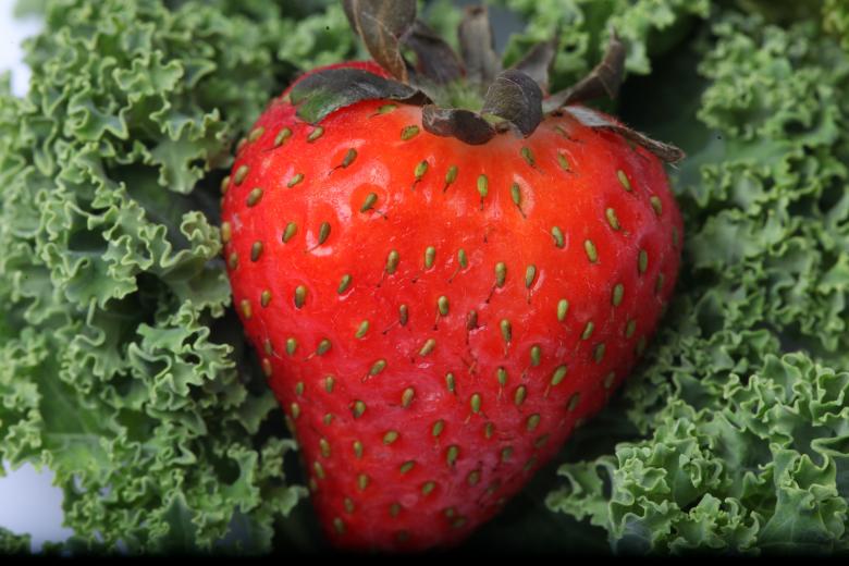 Free stock image of Red Strawberry on kale created by Jared Davidson