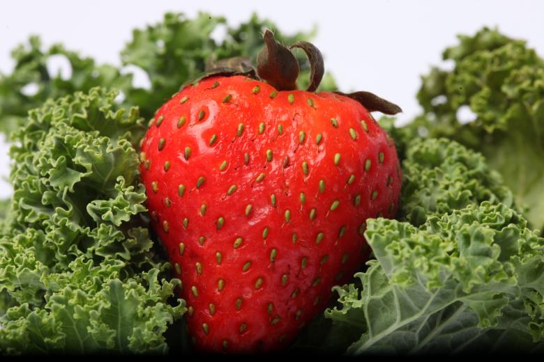 Free stock image of Red Strawberry on kale created by Jared Davidson