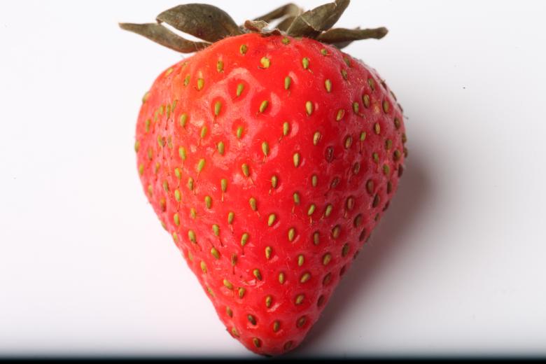 Free stock image of Strawberry isolated on white background created by Jared Davidson