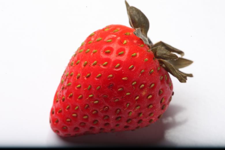 Free stock image of Strawberry isolated on white background created by Jared Davidson