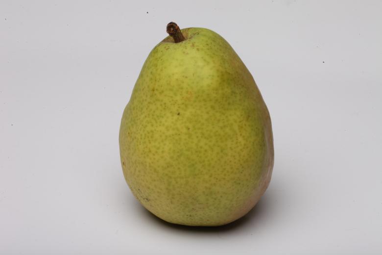 Free stock image of Pear isolated on white. created by Jared Davidson