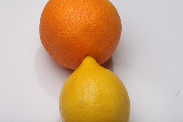 Free stock image of Lemon and Orange Isolated on white created by Jared Davidson