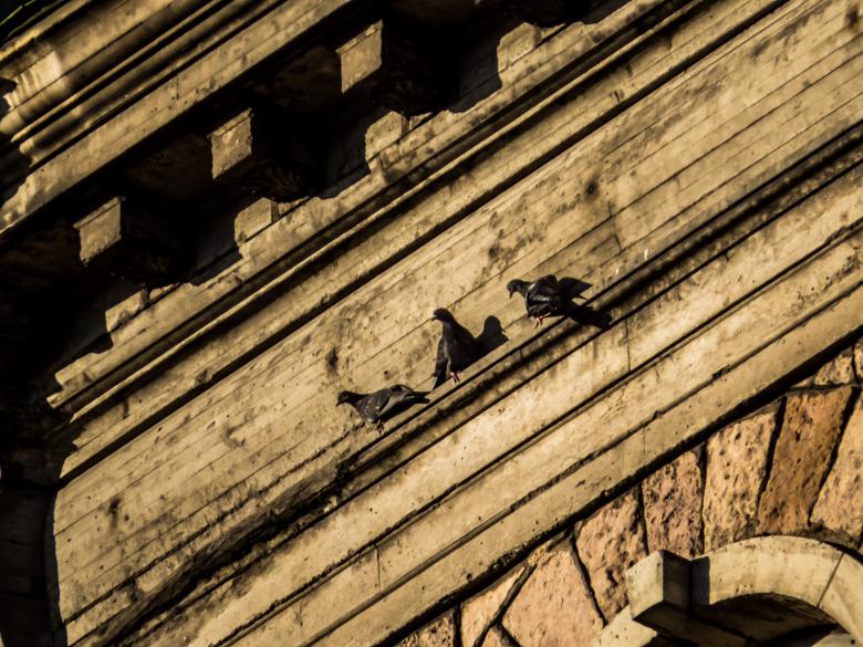 Free stock image of Three friends on the ledge created by Janis Urtans