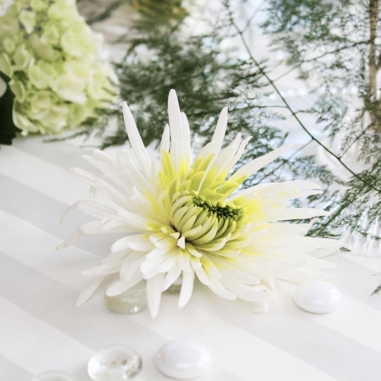 Free stock image of White flowers created by Val Lawless
