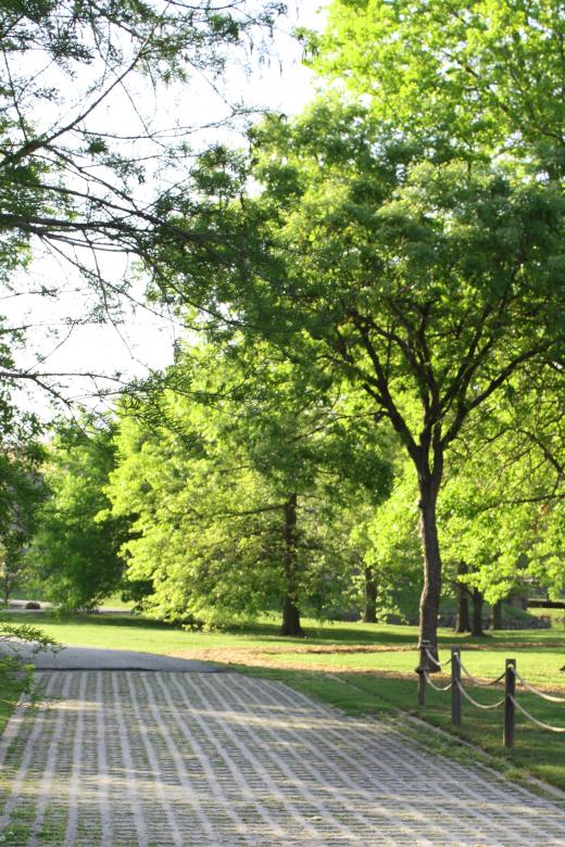 Free stock image of Path in a park created by Val Lawless