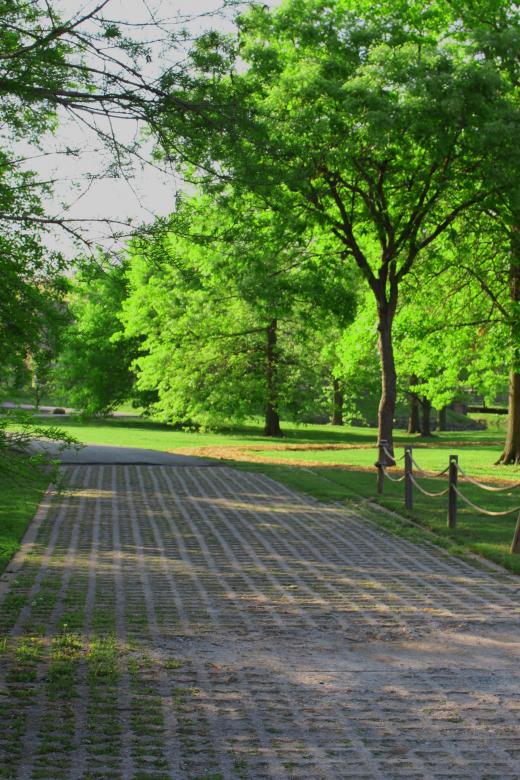 Free stock image of Path in a park created by Val Lawless