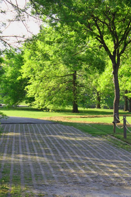 Free stock image of Path in a park created by Val Lawless