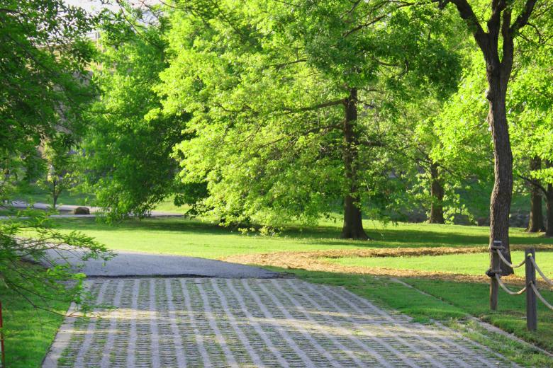 Free stock image of Path in a park created by Val Lawless