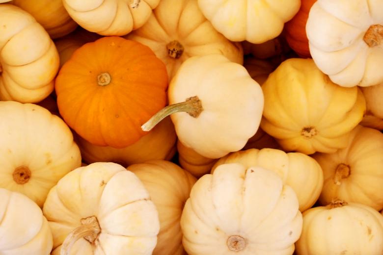 Free stock image of Background of Pumpkins created by Val Lawless