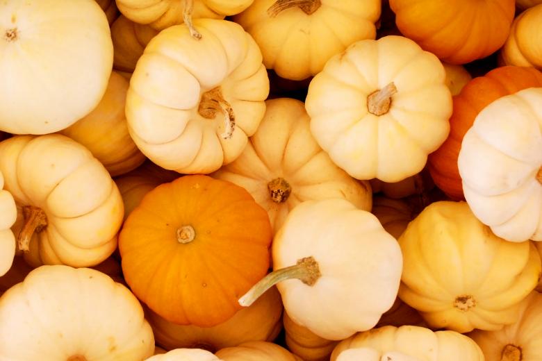 Free stock image of Small Pumpkins Background created by Val Lawless