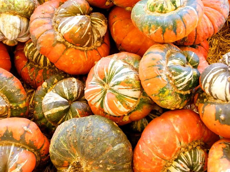 Free stock image of Pumpkins created by Val Lawless