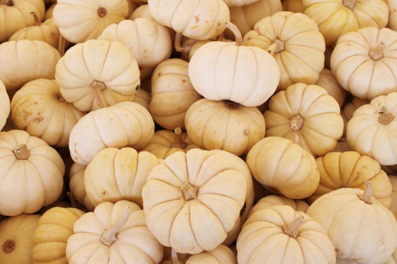 Free stock image of Pumpkins Background created by Val Lawless