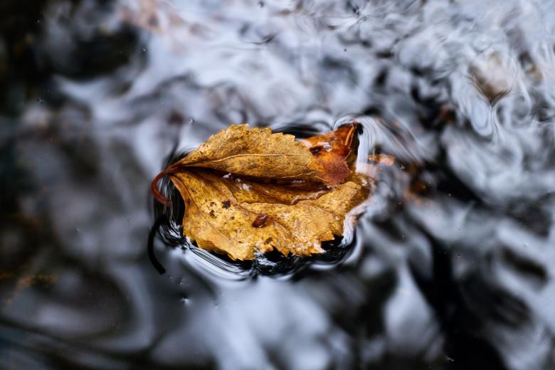 Free stock image of Autumn Stream created by Geoffrey Whiteway