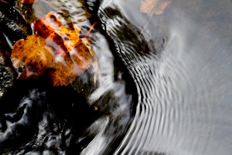Free stock image of Autumn Stream created by Geoffrey Whiteway
