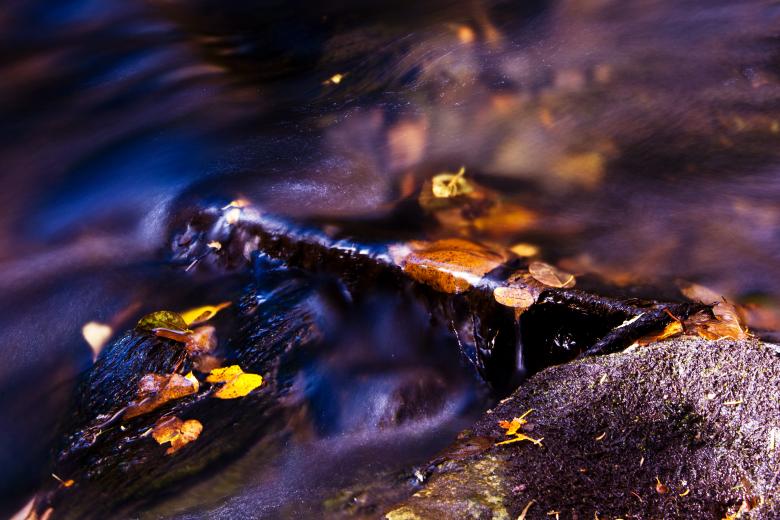 Free stock image of Autumn Stream created by Geoffrey Whiteway