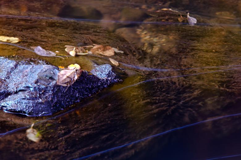 Free stock image of Autumn Stream created by Geoffrey Whiteway