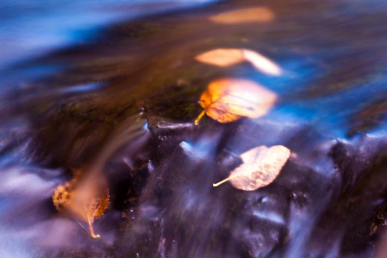 Free stock image of Autumn Stream created by Geoffrey Whiteway