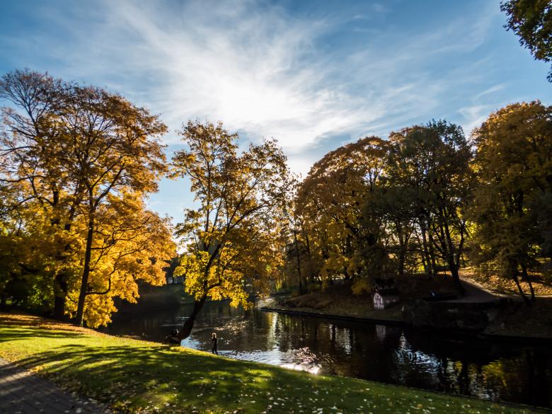 Free stock image of Sunny autumn morning created by Janis Urtans