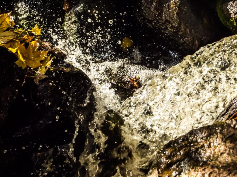 Free stock image of Autumn beauty created by Janis Urtans