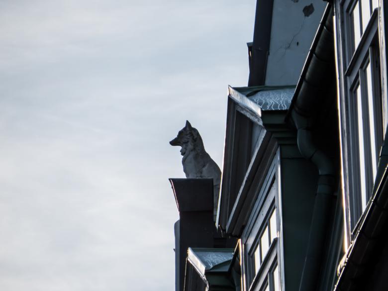Free stock image of Wolf watching over the city  created by Janis Urtans