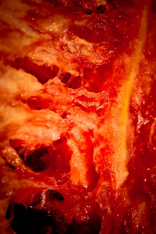Free stock image of Decaying Flesh created by Free Texture Friday