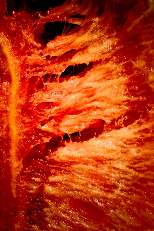 Free stock image of Decaying Flesh created by Free Texture Friday