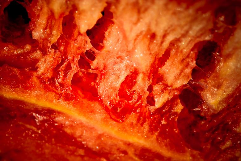 Free stock image of Decaying Flesh created by Free Texture Friday