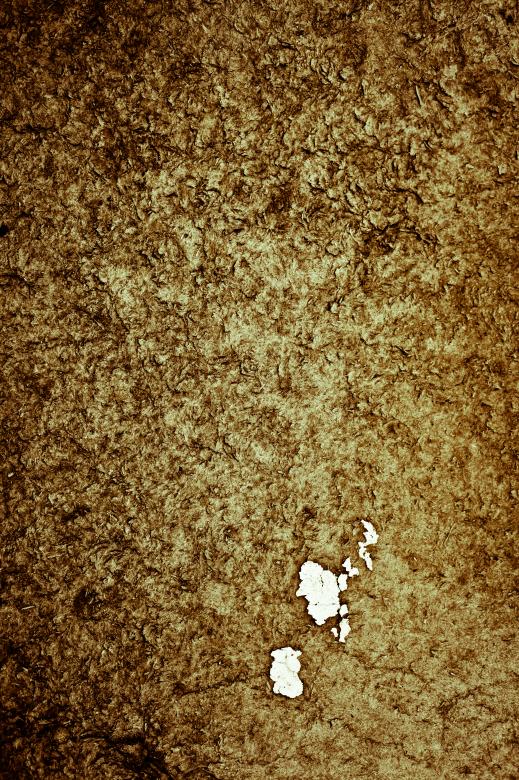 Free stock image of Old Grunge Plywood created by Free Texture Friday