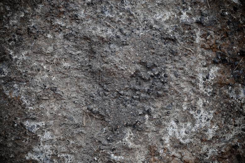 Free stock image of Muddy Soil Surface created by Free Texture Friday