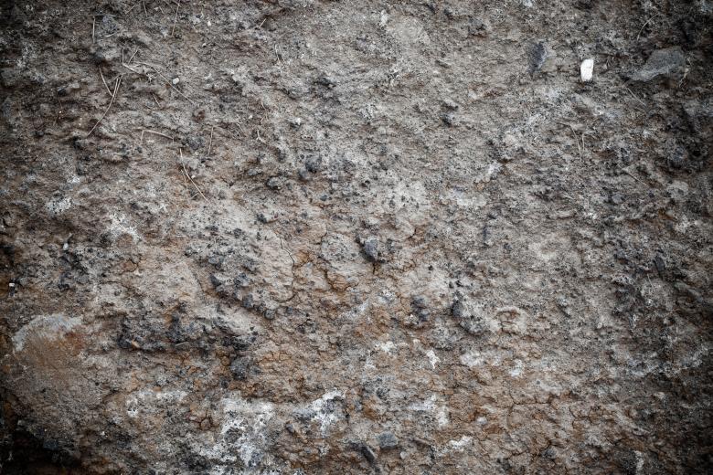 Free stock image of Muddy Soil Texture created by Free Texture Friday