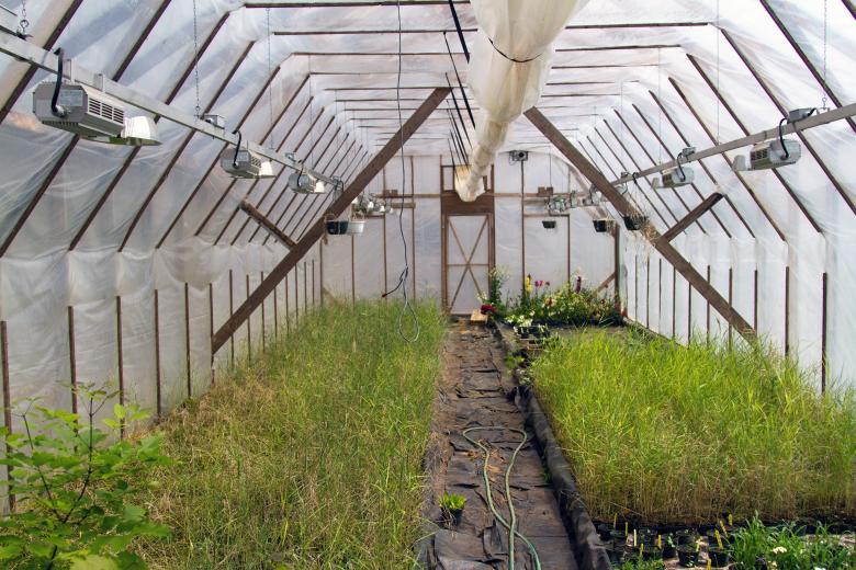 Free stock image of Greenhouse created by Geoffrey Whiteway