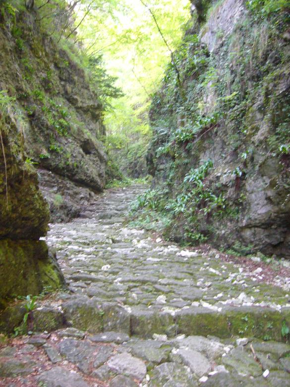 Free stock image of Stone footpath created by francesco scanagatta
