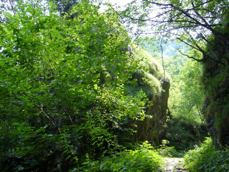 Free stock image of Mountain Passage created by francesco scanagatta