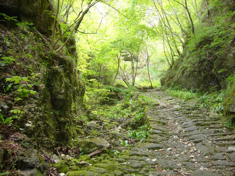 Free stock image of Moutain trail created by francesco scanagatta