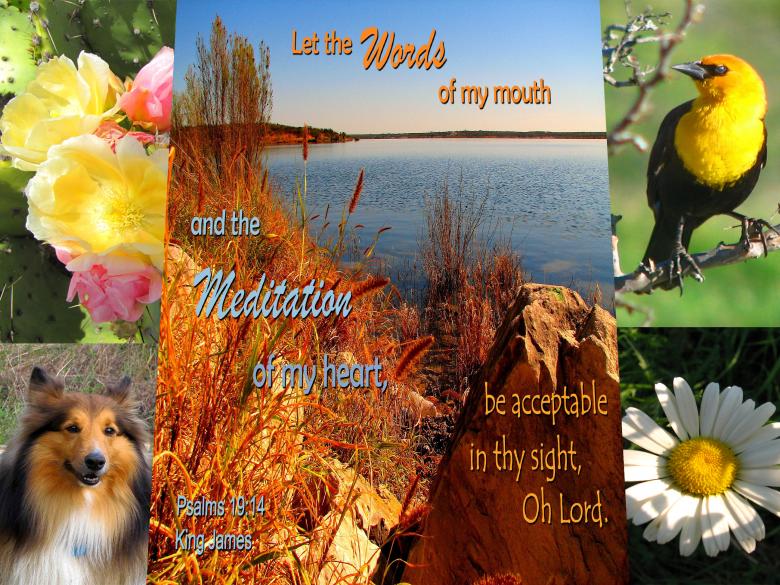 Free stock image of Acceptable Words and Meditation created by DFNatureAwed