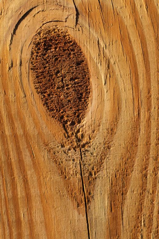 Free stock image of Wooden Board Texture created by Free Texture Friday