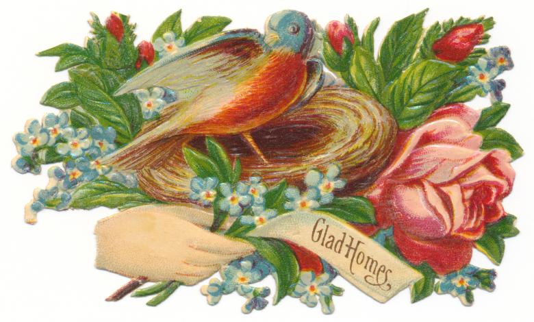 Free stock image of Antique Victorian Trade Card created by Nicolas Raymond