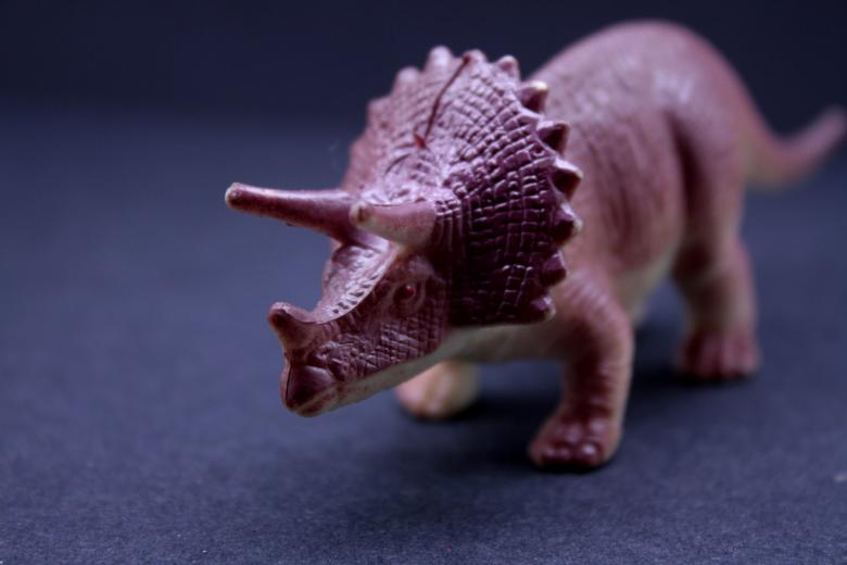Free stock image of Plastic dinosaur created by homero chapa