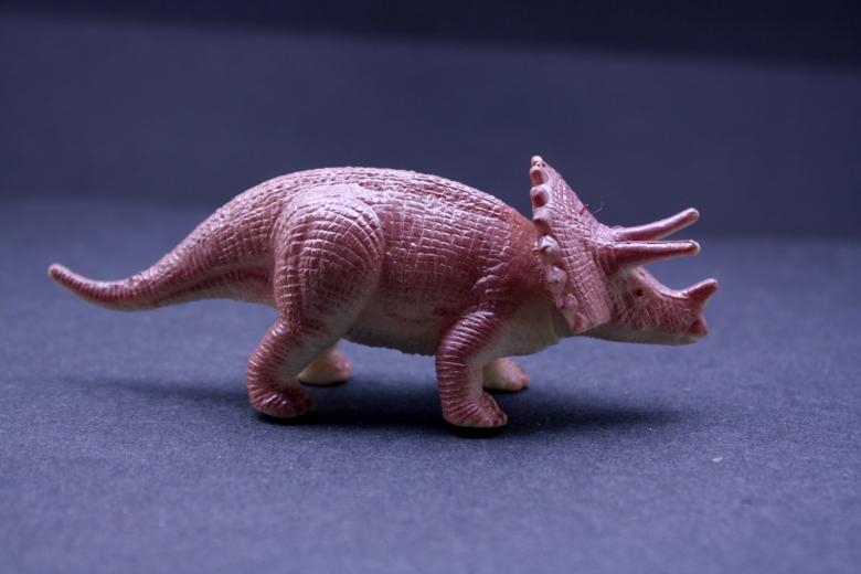 Free stock image of Plastic dinosaur created by homero chapa