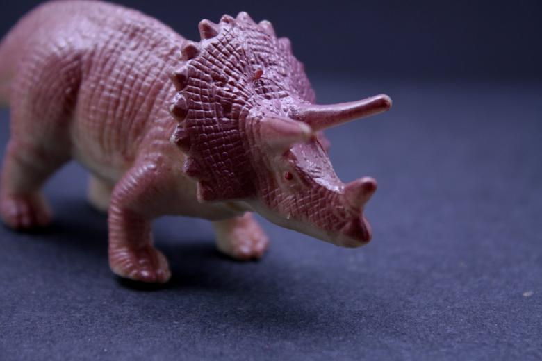 Free stock image of Plastic dinosaur created by homero chapa