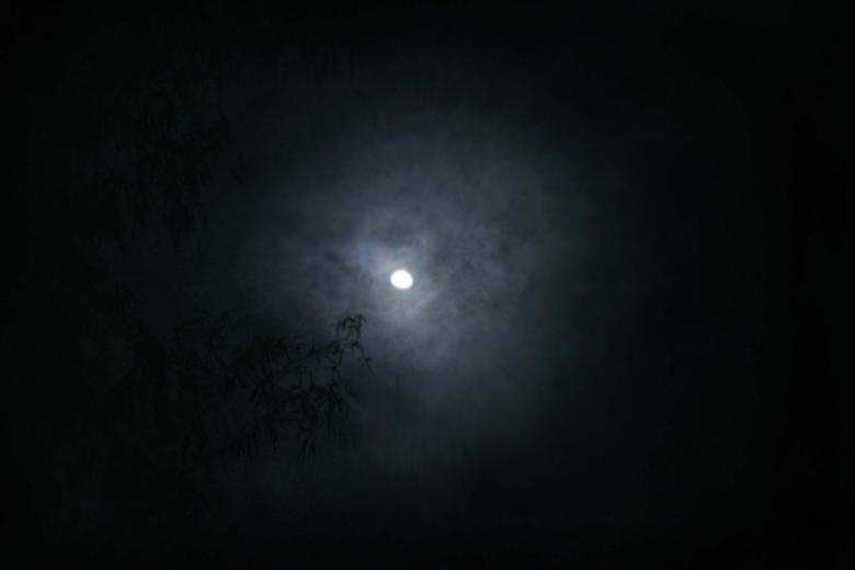 Free stock image of A grey moon created by Katriona Galahad