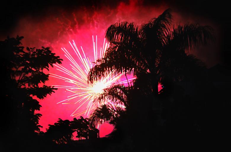 Free stock image of Pink fireworks created by Katriona Galahad