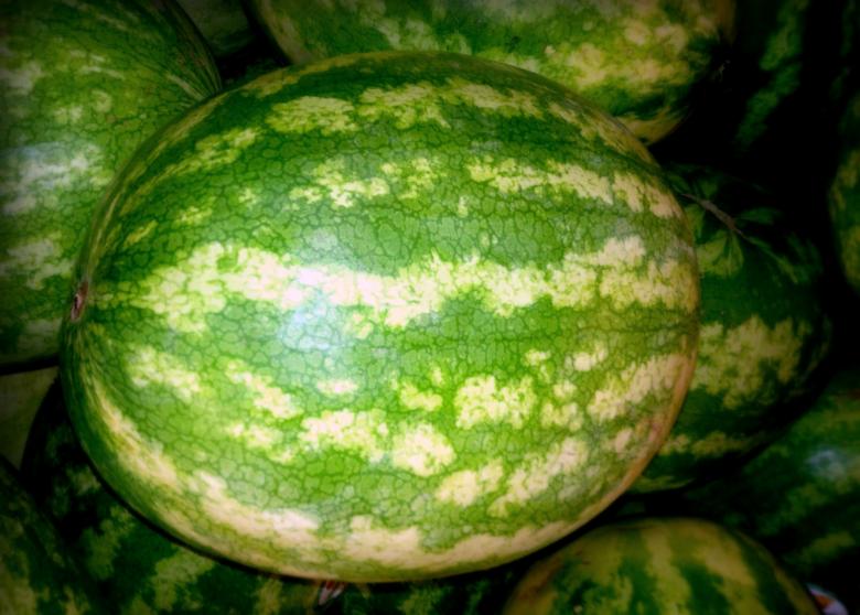 Free stock image of Watermelon created by Julieta Nuñez Chapa