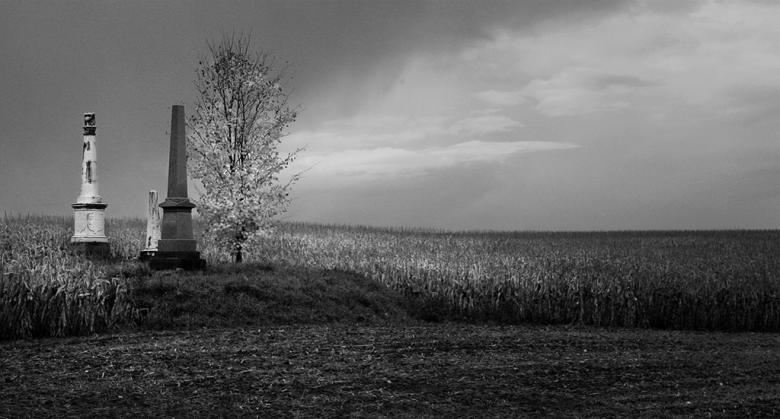 Free stock image of Cemetery in cornfield created by Tony Ryta