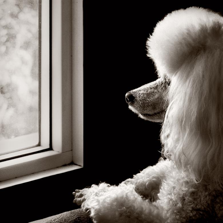 Free stock image of Waiting for Dad created by Tony Ryta