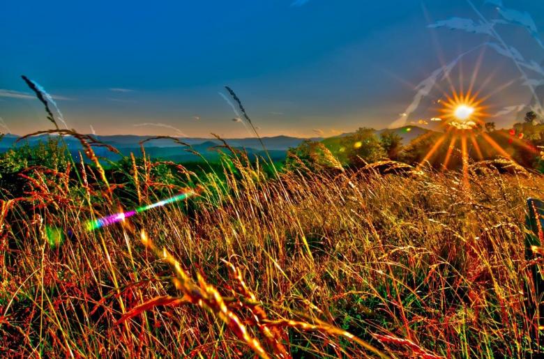Free stock image of Wheat Crop created by agphotostock.com