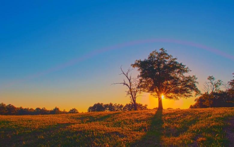 Free stock image of In the Field created by agphotostock.com