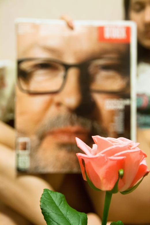 Free stock image of Lars Trier's Nose smells rose created by 2happy