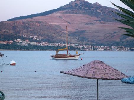 The Island